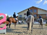 Clubul Equestria, Echitatie Si Relaxare, Langa Bucuresti 08